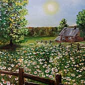 Ромашковое поле