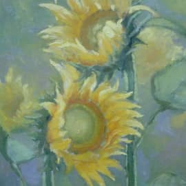 Подсолнухи.