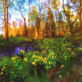 Весенний лес.