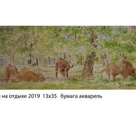 Зубры на отдыхе 2019  13х35 бумага акварель