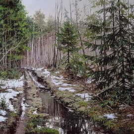 Лес. Пешие прогулки