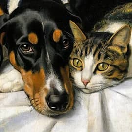 Идеальная пара