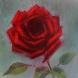Роза красная 2