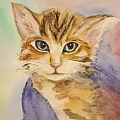 Картина "Кота помыли" (1), художник Ольга Пелевина