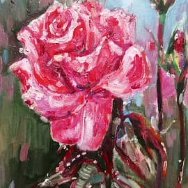 Малиновая роза