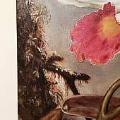 Белая бразильская орхидея (2), художник Марина Черотченко