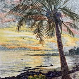 Фукуок. Пальма. Скетч.