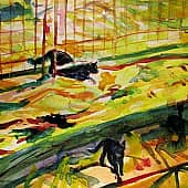 Ночные тени