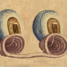 Явление Мэтра