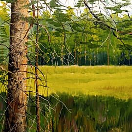 Солнечный этюд