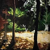 "Ночной просвет"