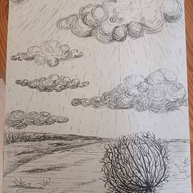 Перекати поле