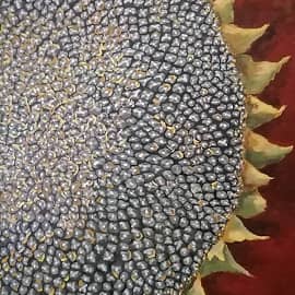 Подсолнух 1