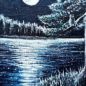 Ночь у лесного озера