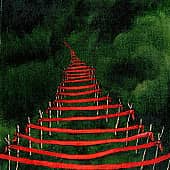 Поле красных линий  The Field of Red Lines