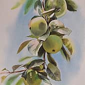 Пленер в яблоневом саду