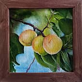 На ветке. Абрикосы. (1), художник Шатёрных Геннадий