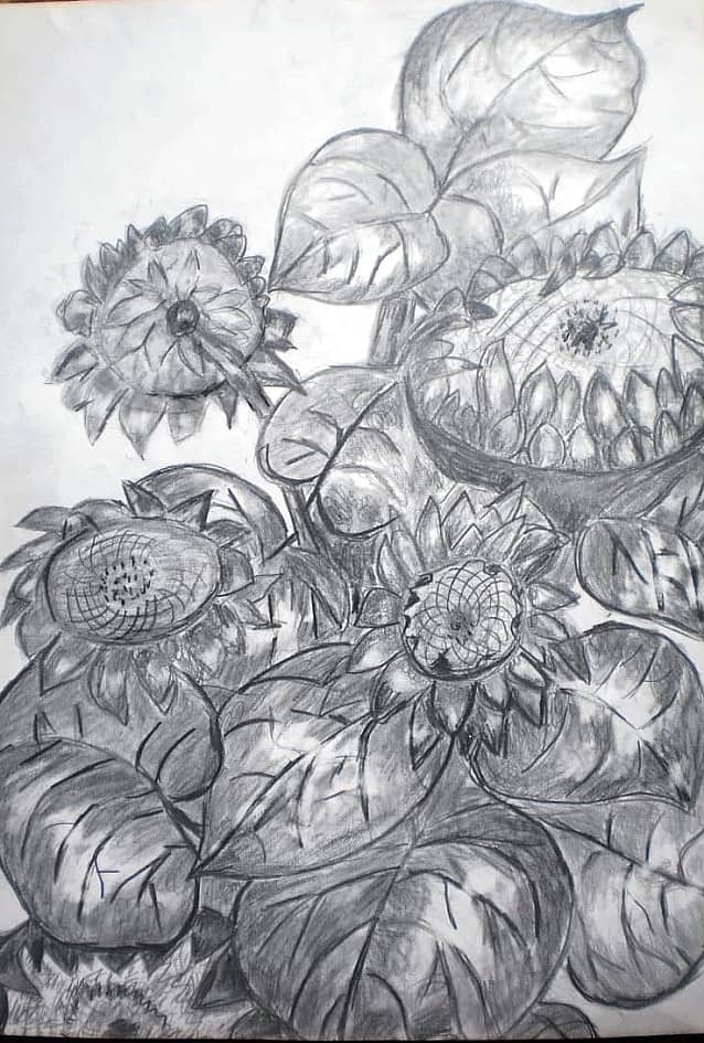 Ветка  подсолнуха