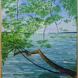 Ива над Волгой