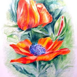 Композиция маки