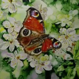 "Бабочка -Весна"