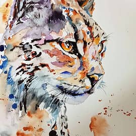 Графика и рисунок