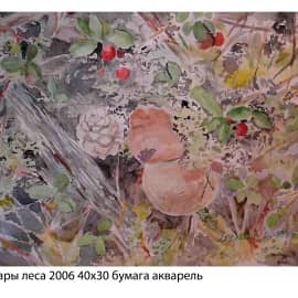 Дары леса 2006 40х30 бумага акварель