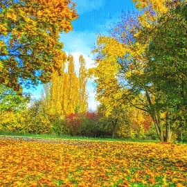 солнечные дни-3.