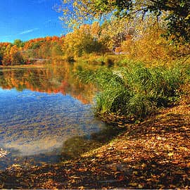 Отражение осени