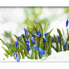 Навстречу весне.