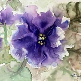 Голубая фиалка