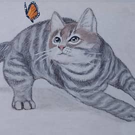 Кот и бабочка