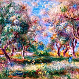 Оливковая роща.