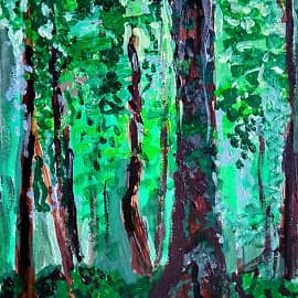 Беловежская пуща