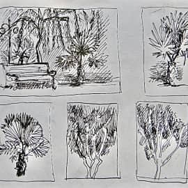 Пальмы. Зарисовки с натуры.