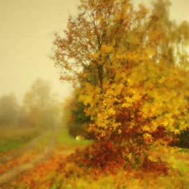 Дорога в туман