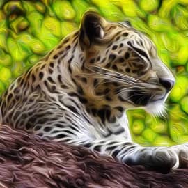 Животные 045