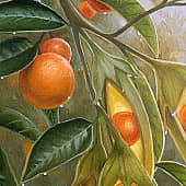 Лиза Рэй - Сад солнечных птиц 2 (2), художник Лиза Рэй