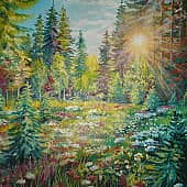 В солнечном лесу.