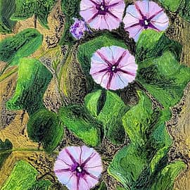 Фукуок. Ипомея.