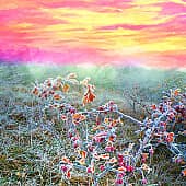 Утренний туман.