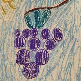 Виноградка