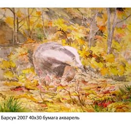 Барсук 2007 40х30 бумага акварель