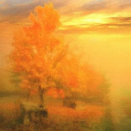 Осенние туманы.