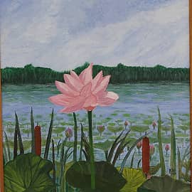 Лотос Комарова