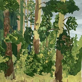 Нязепетровск