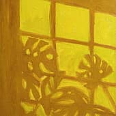 Листья монстеры танцуют под лучами солнца