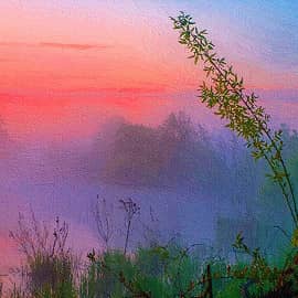 Алеет восток.