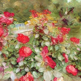 Розовый куст.