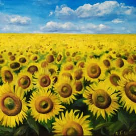 Солнечное поле